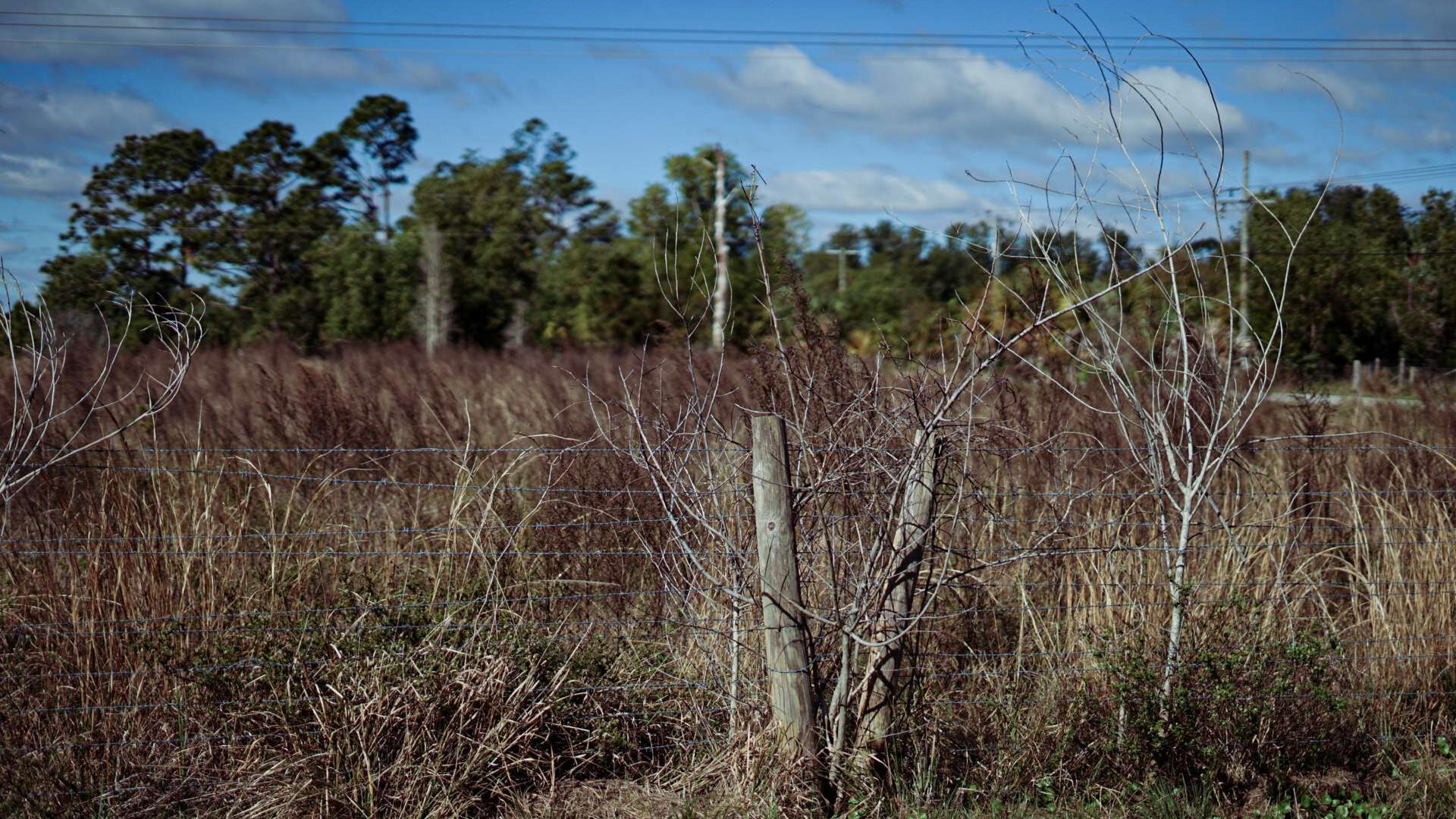 Lee County Commissioners allow density boost for Buckingham developer